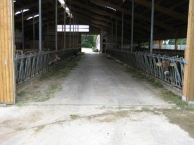 Siehle_OÄberboehringen_Stallbau08.JPG