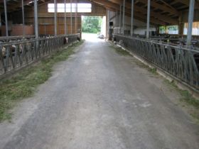 Siehle_OÄberboehringen_Stallbau09.JPG